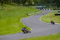 cadwell-no-limits-trackday;cadwell-park;cadwell-park-photographs;cadwell-trackday-photographs;enduro-digital-images;event-digital-images;eventdigitalimages;no-limits-trackdays;peter-wileman-photography;racing-digital-images;trackday-digital-images;trackday-photos